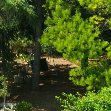 Paestum House Bed and Breakfast Exterior foto